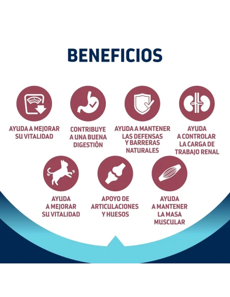 Comida para Gato Esterilizado ADVANCE Sterilized de mas de 10 Años 1,5kg